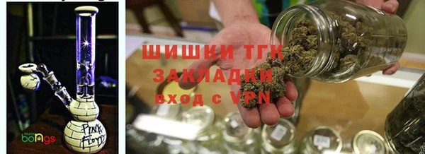 индика Зеленокумск